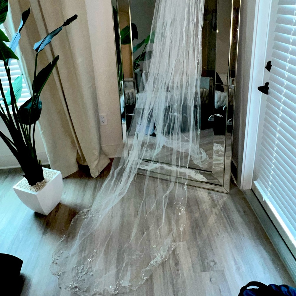 Beautiful beaded veil!